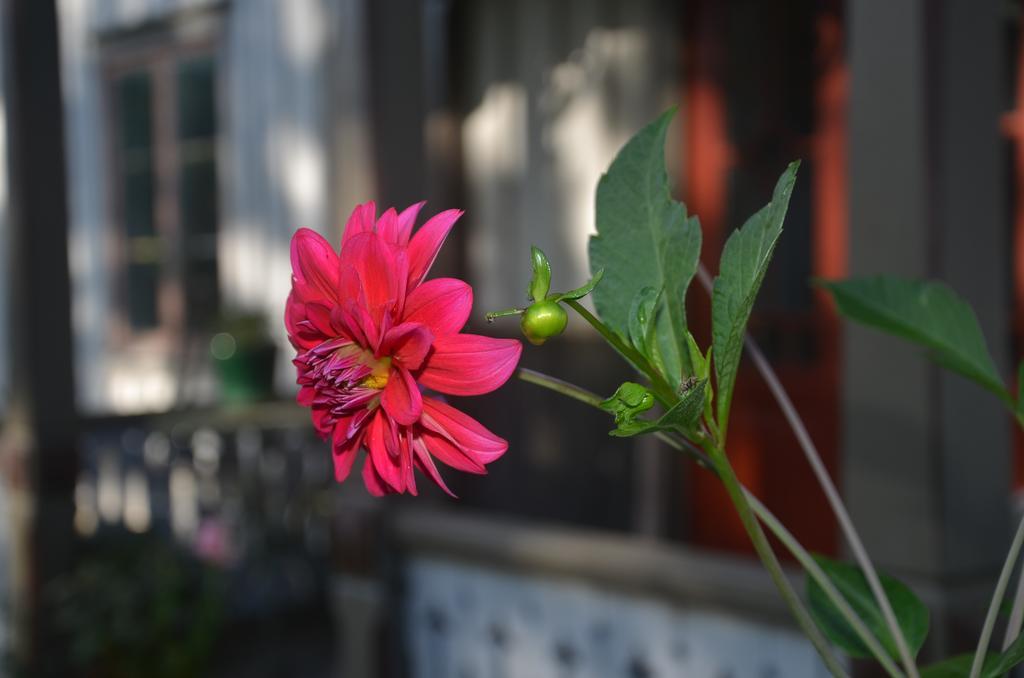Naestegarden Bed & Breakfast Sätuna Zewnętrze zdjęcie