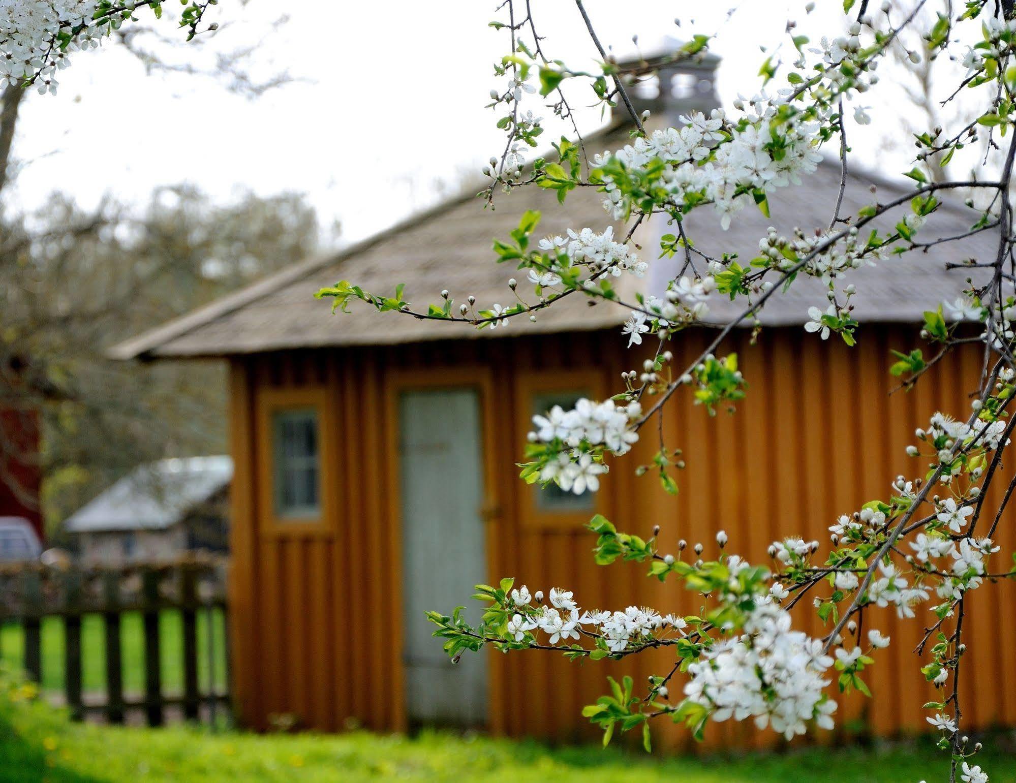 Naestegarden Bed & Breakfast Sätuna Zewnętrze zdjęcie