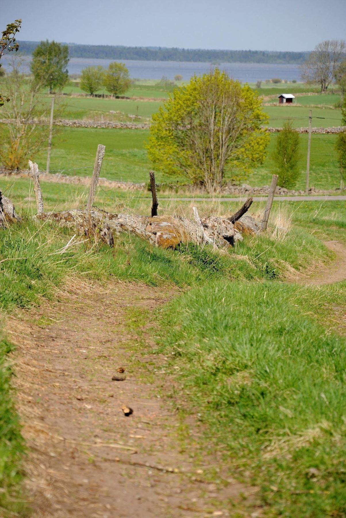 Naestegarden Bed & Breakfast Sätuna Zewnętrze zdjęcie